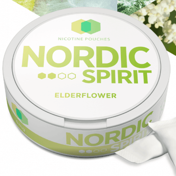 JTI Nordic Spirit Nicotine Pouches